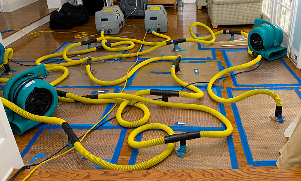 Professional Crawl Space Water Removal technician working in Cottage Hills, IL